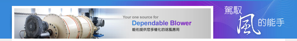 駕馭風的能手